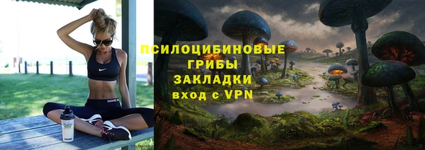 a pvp Алзамай